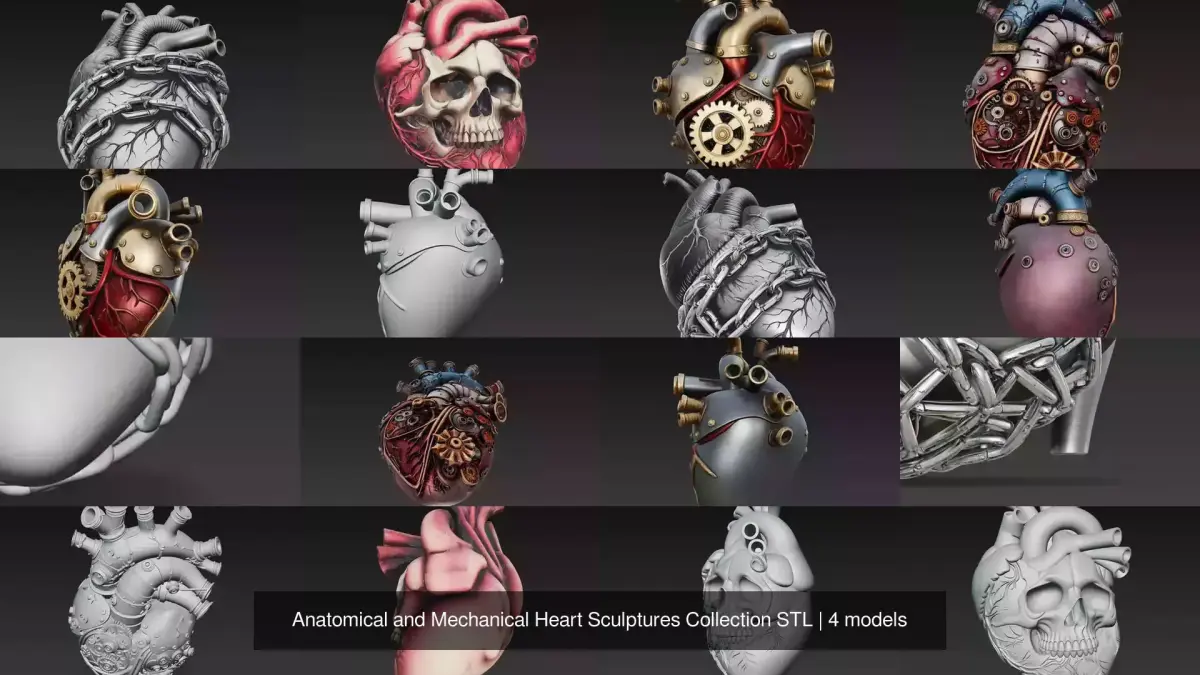 Anatomical and Mechanical Heart Sculptures Collection STL 3D Model Pack