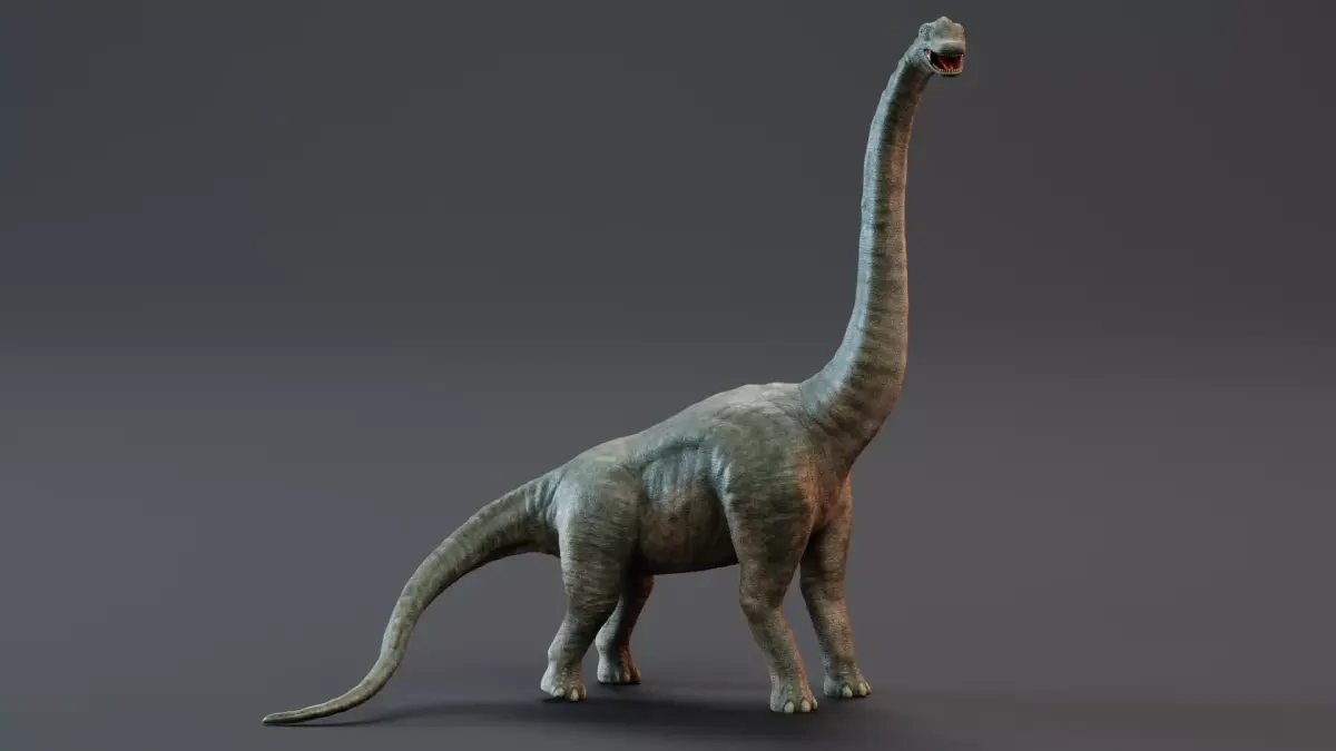 Brachiosaurus - Realistic Dinosaur Rigged 3D model