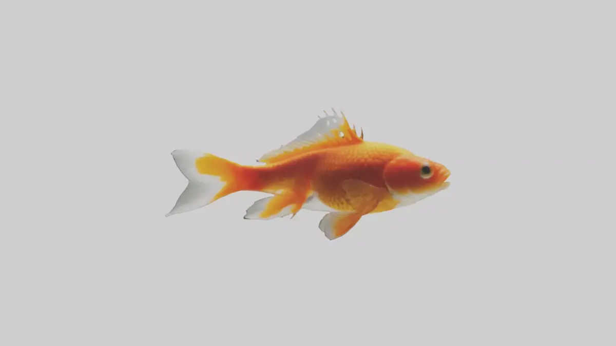 Goldfish swimming in tank model Low-poly 3D model
