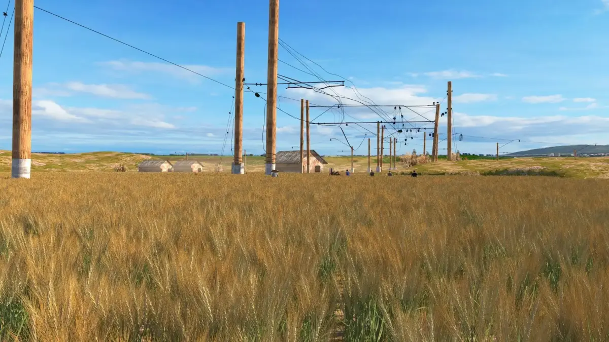 Train through rice fields 3D model