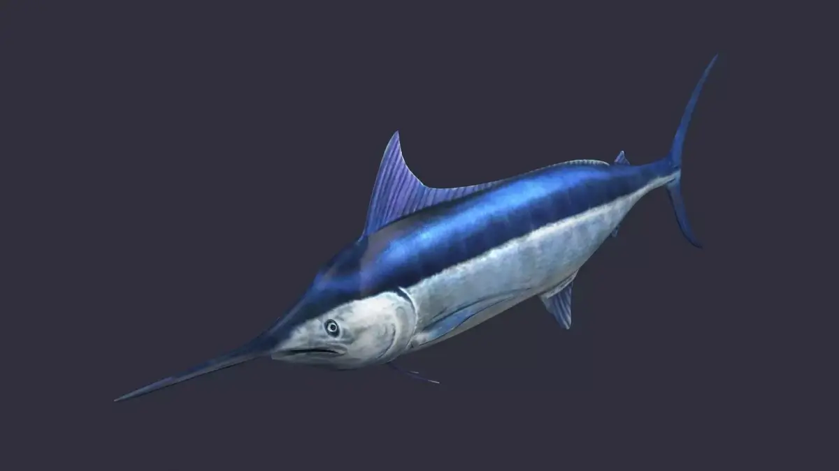 swordfish marlin ocean sea fish swim fast 3D model