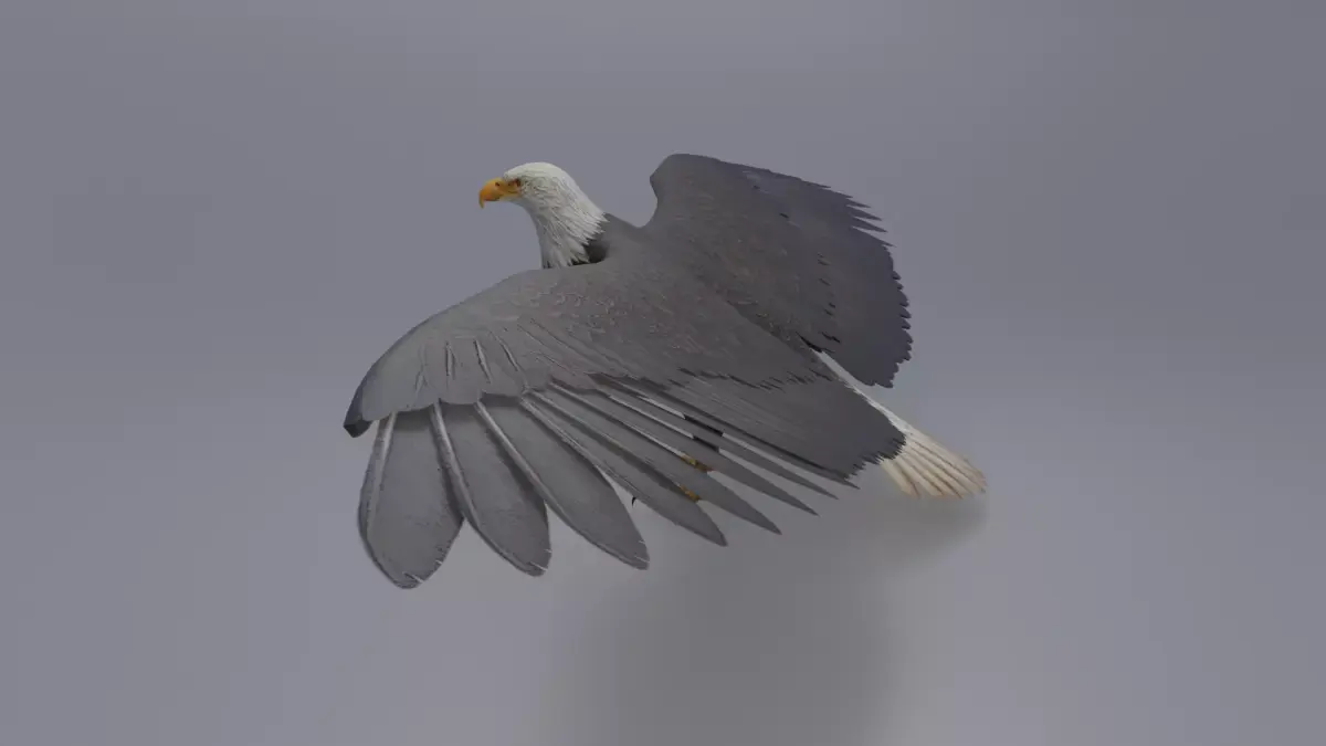 Eagle Low-poly 3D model