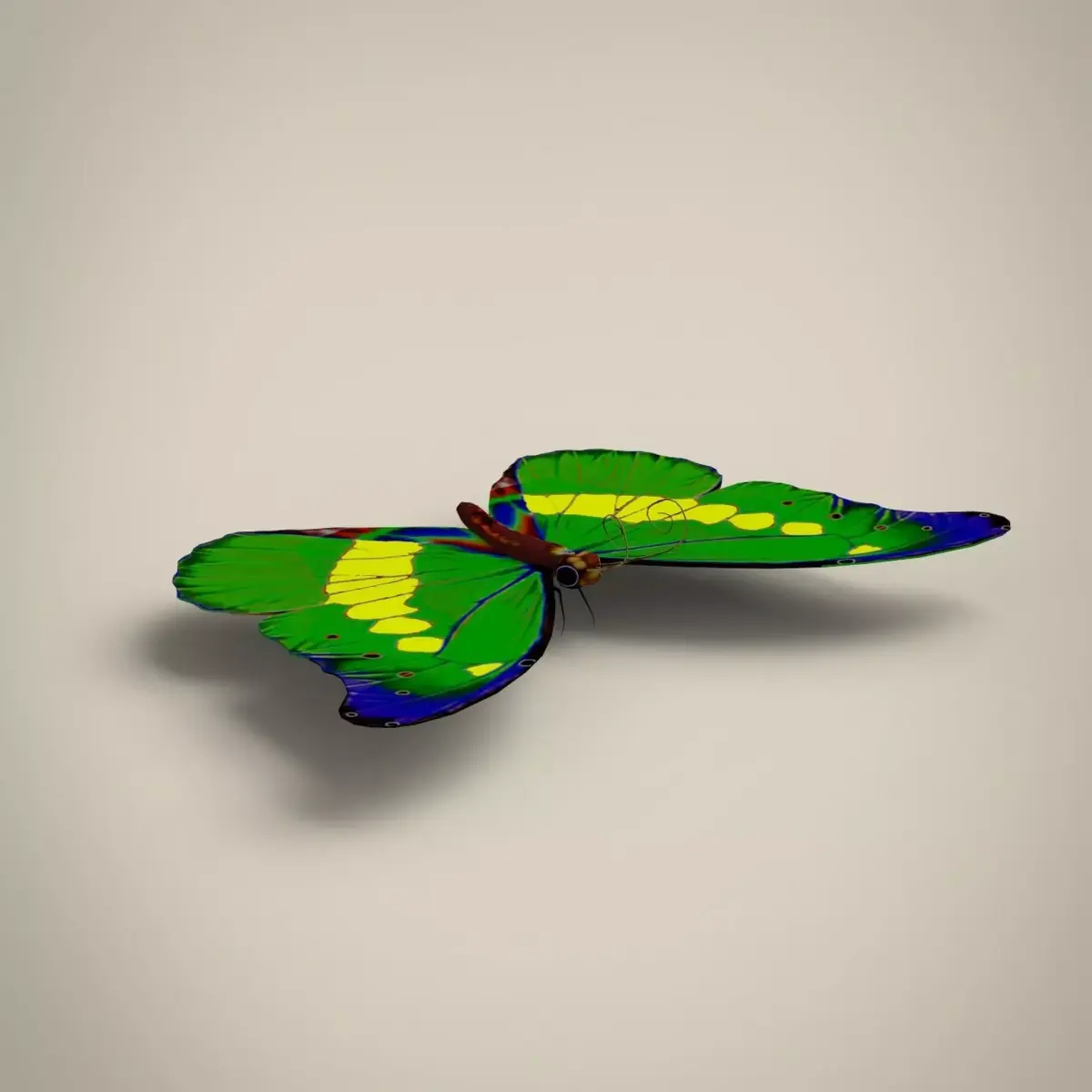 Butterfly Low-poly 3D model shop