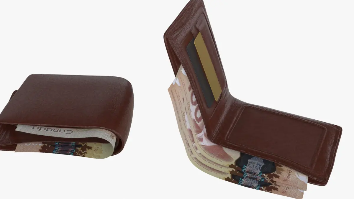 Canada 100 Dollar Wallet Money Purse 3D model