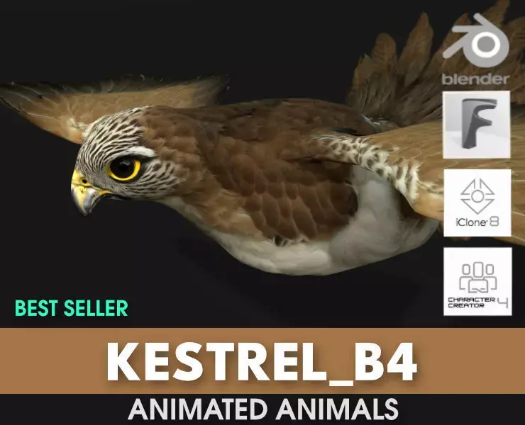 Kestrel B4 3D model