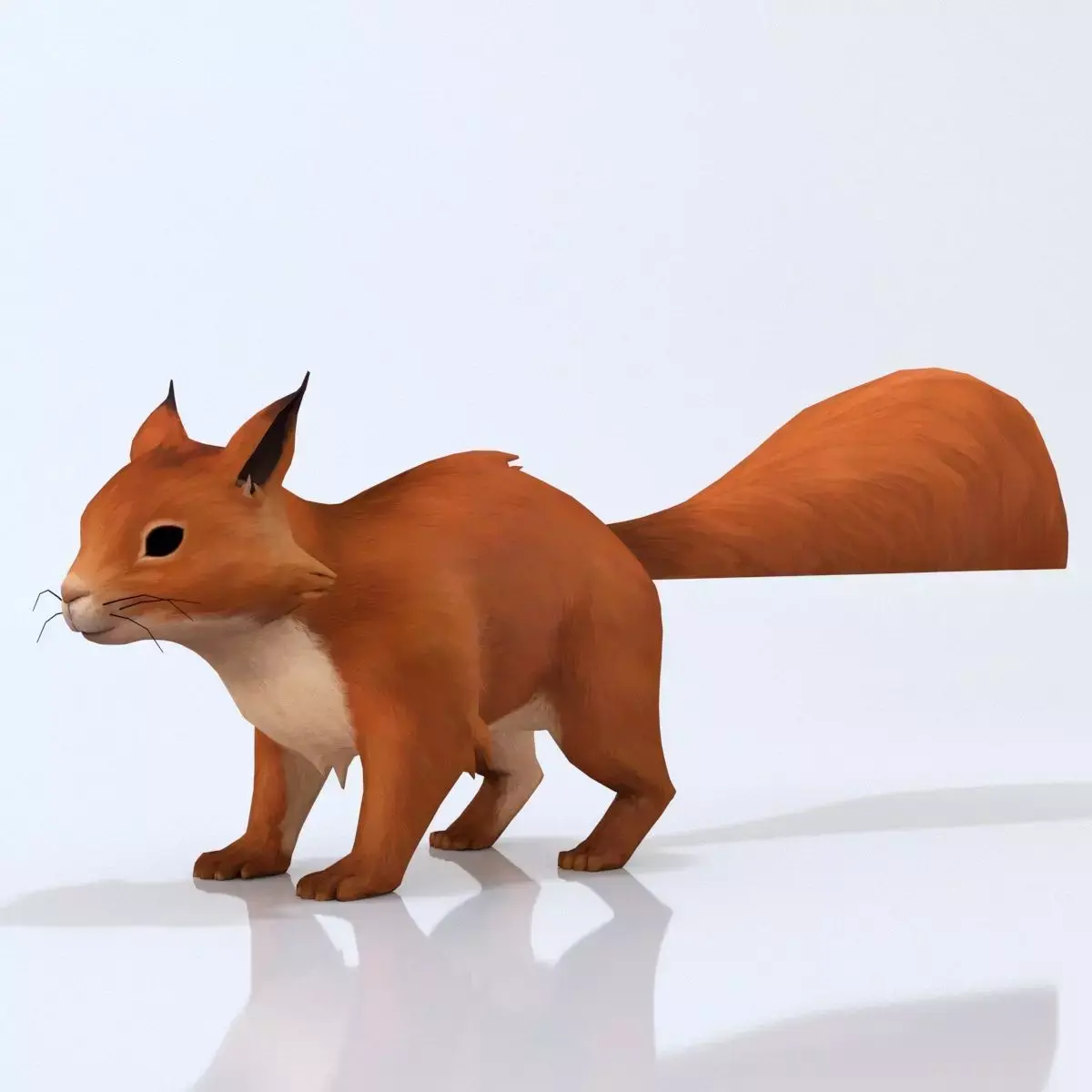 Squirrel 3D model
