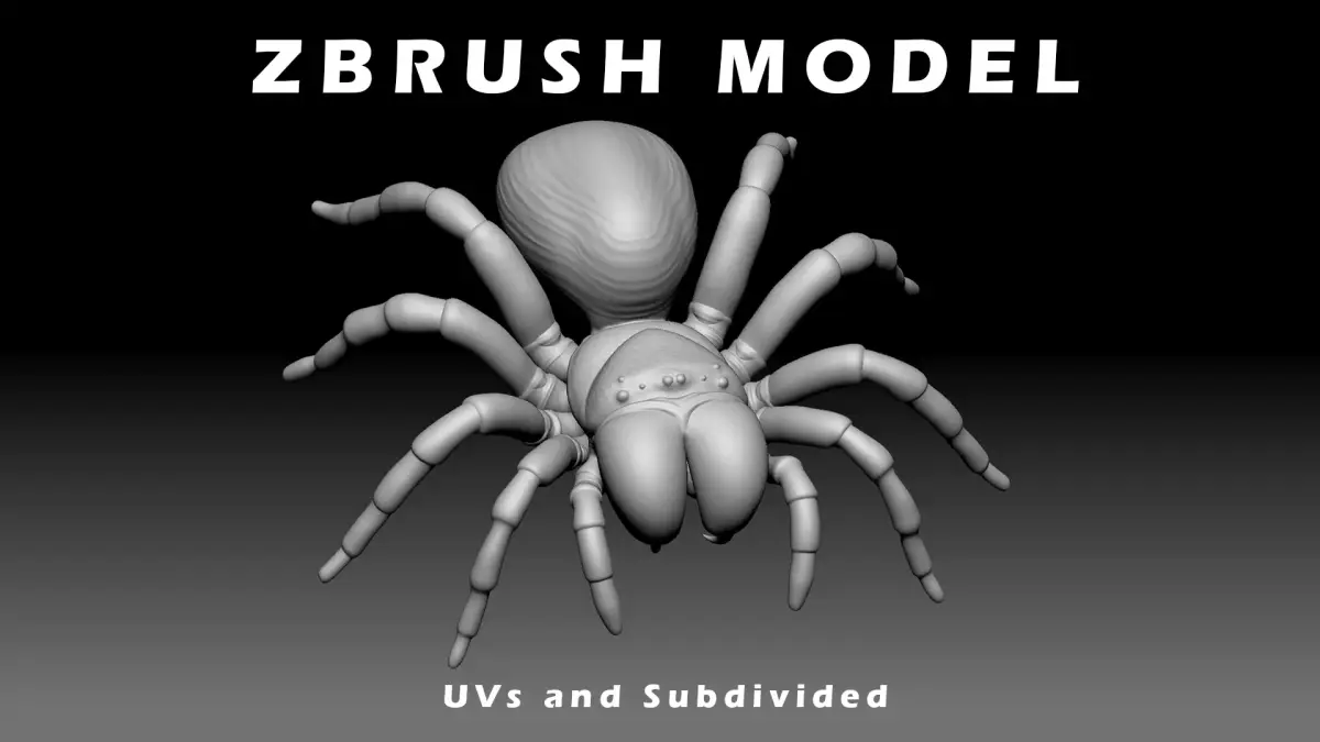 Mouse Spider Low-poly 3D model