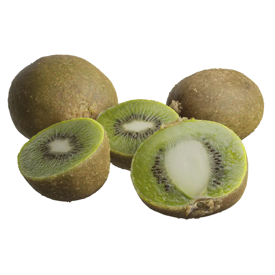  Kiwi Models  purchase