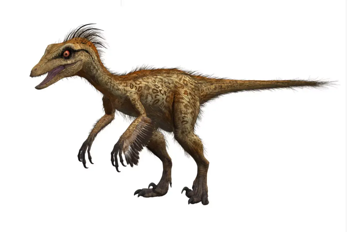Troodon dinosaur Low-poly 3D model