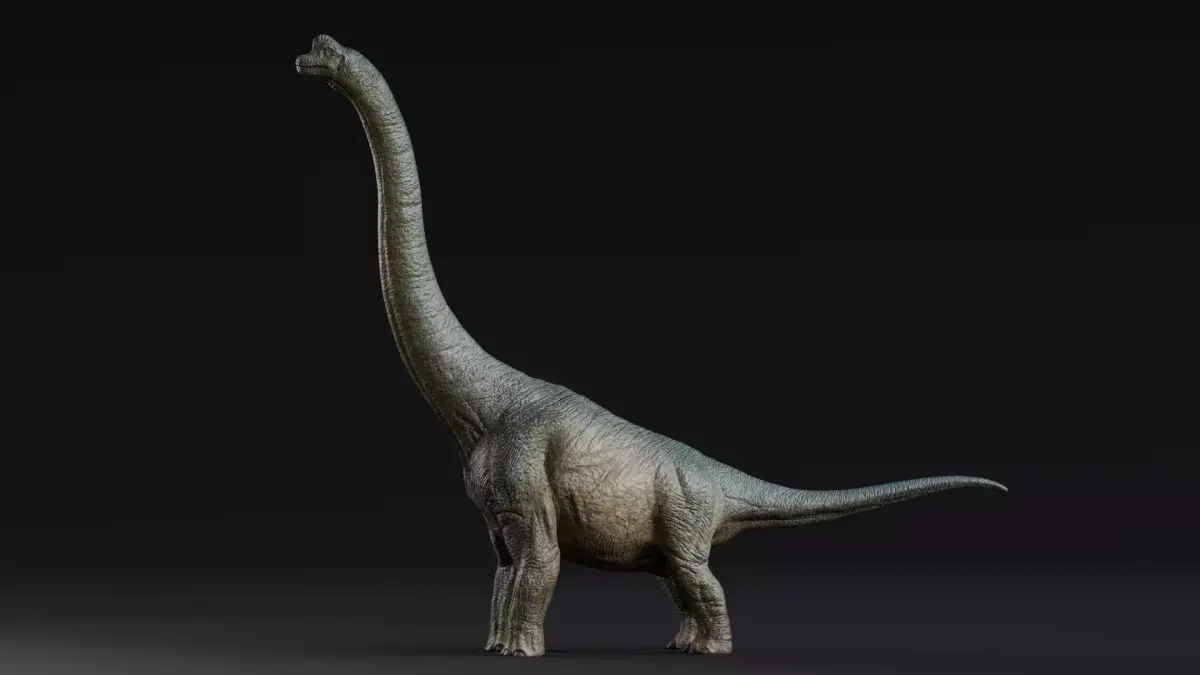 Low poly Realistic Dinosaur - Brachiosaurus Low-poly 3D model