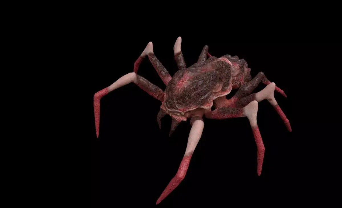 red spider columbias Low-poly 3D model