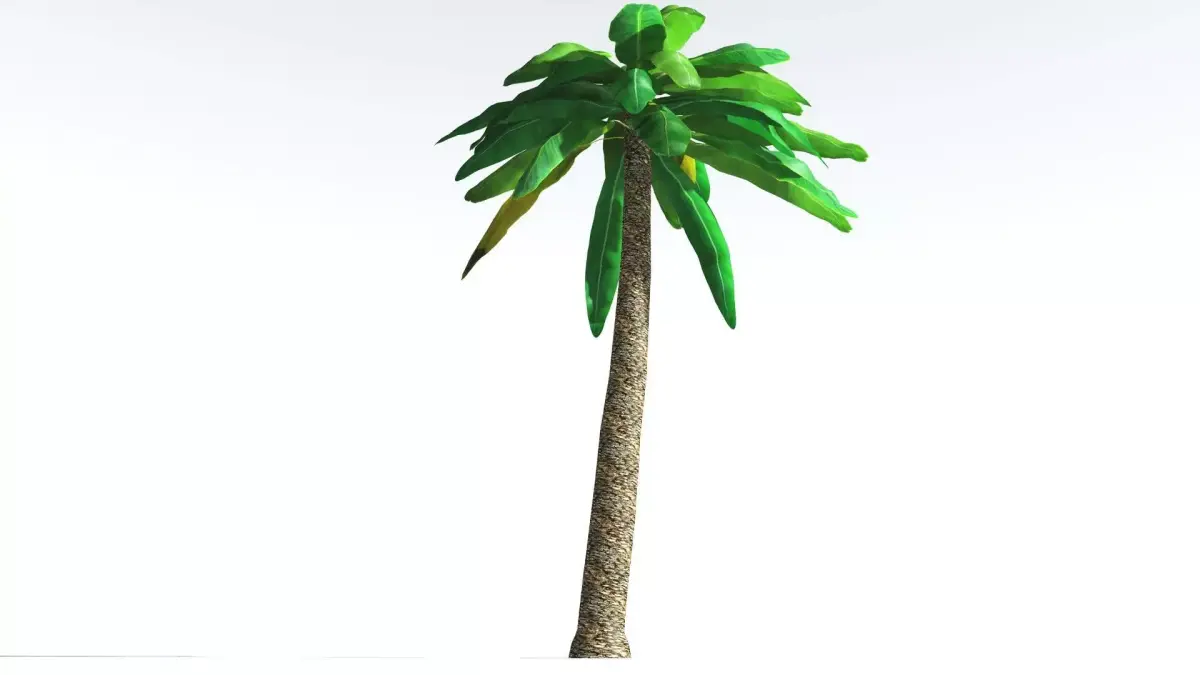 EVERYPlant Bjuvia Cycad LowPoly 1 --12 Models-- Low-poly 3D model