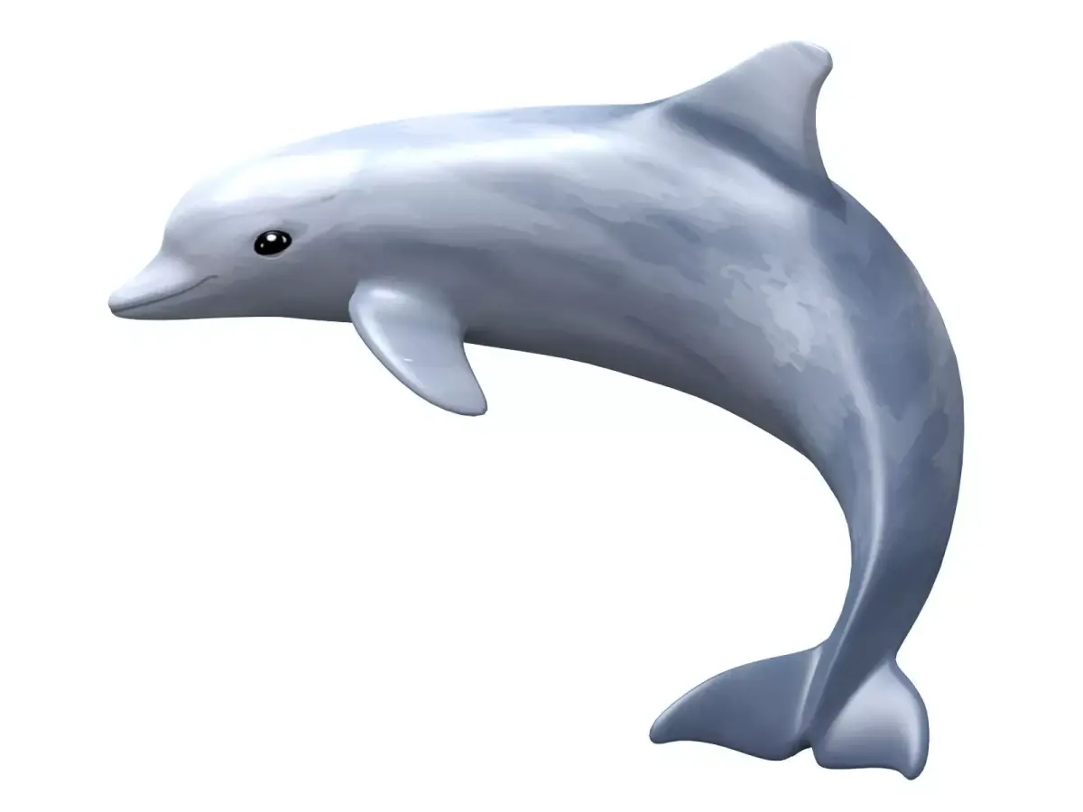 Dolphin Low-poly 3D model shop