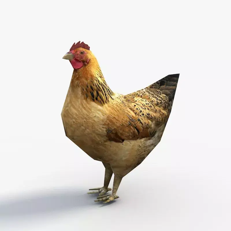 Low Poly Hen rooster Low-poly 3D model