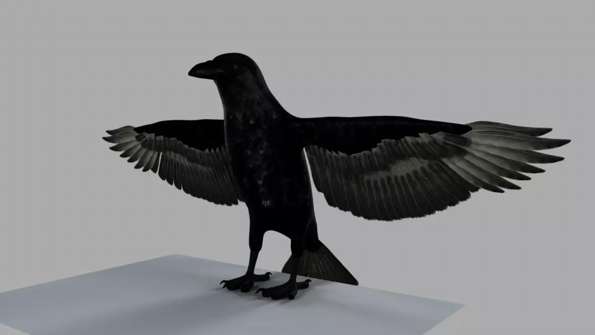 3D Crow raven with wings spread 3D model