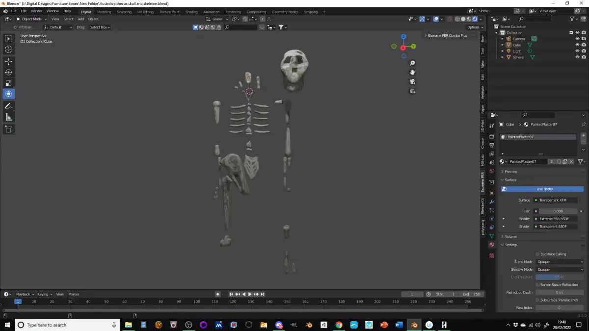 Australopithecus skull and skeleton Low-poly 3D model purchase