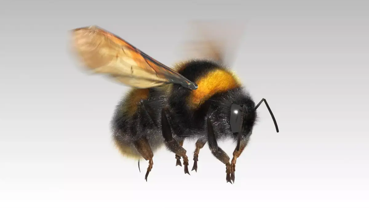 Bumblebee with wings Low-poly 3D model