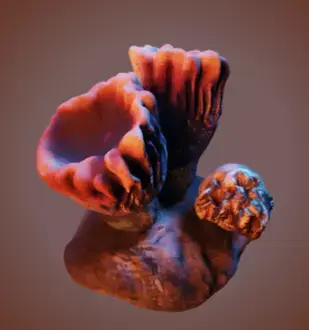 Coral 2 Free low-poly 3D model