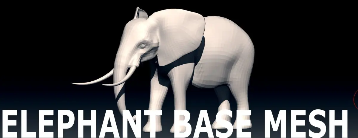 Elephant Base Mesh from Valeanu Andrei Low-poly 3D model