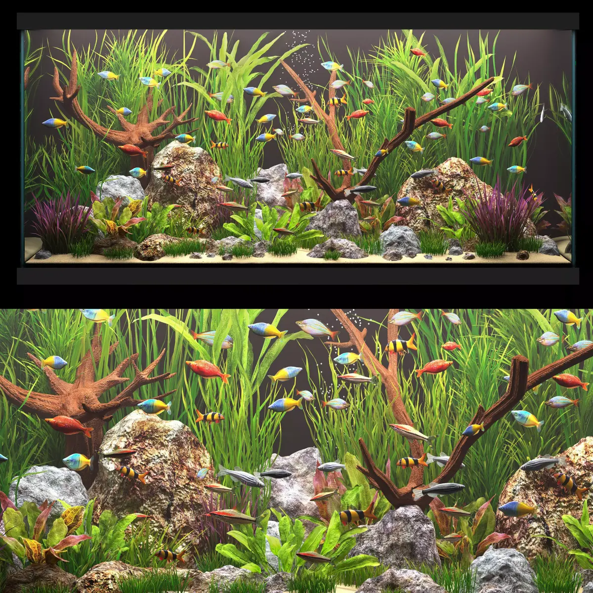 Aquarium 2 3D model
