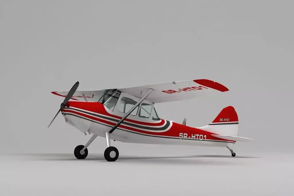 Cessna  Bird Dog 3D model