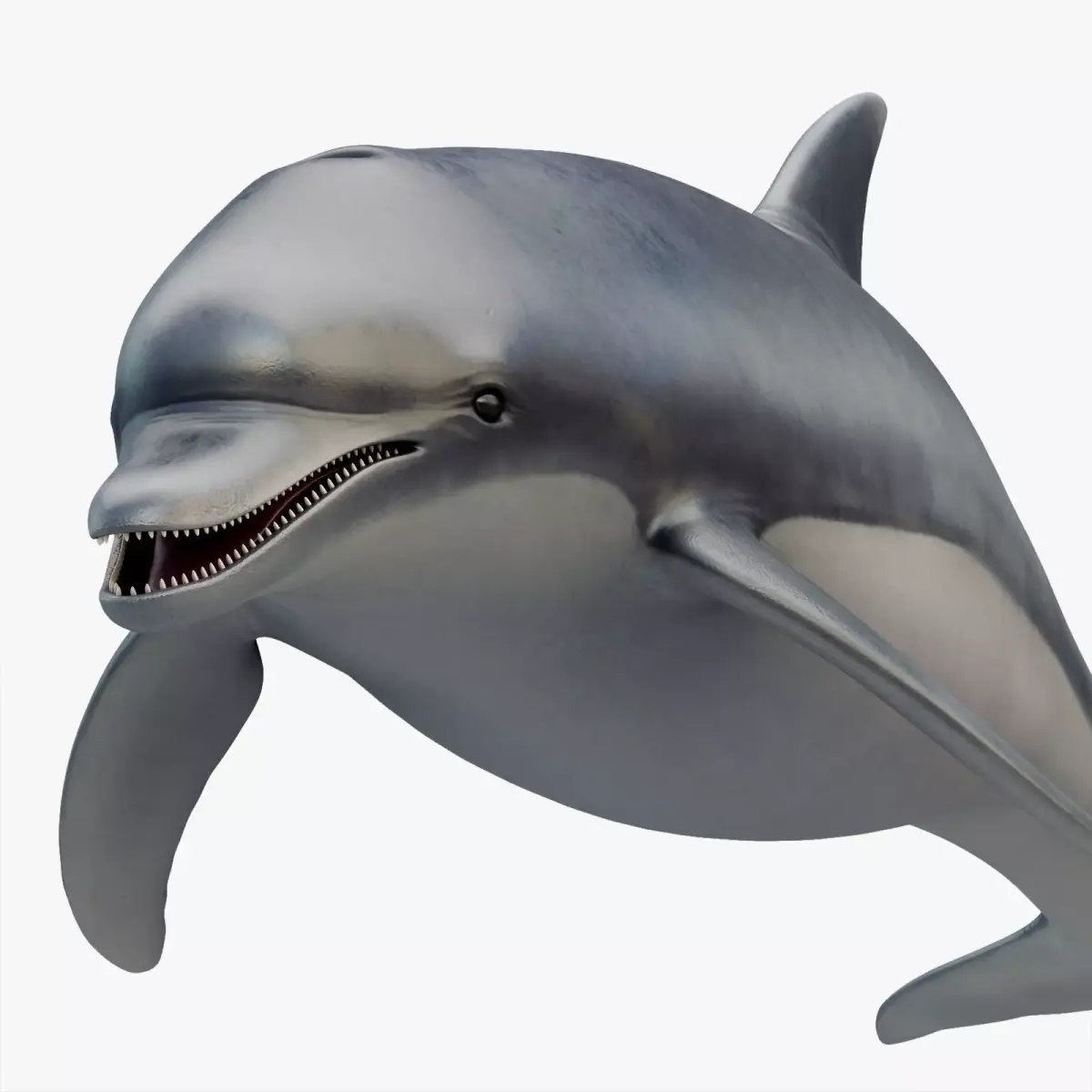 3D model Animated Dolphin Low-poly 3D model