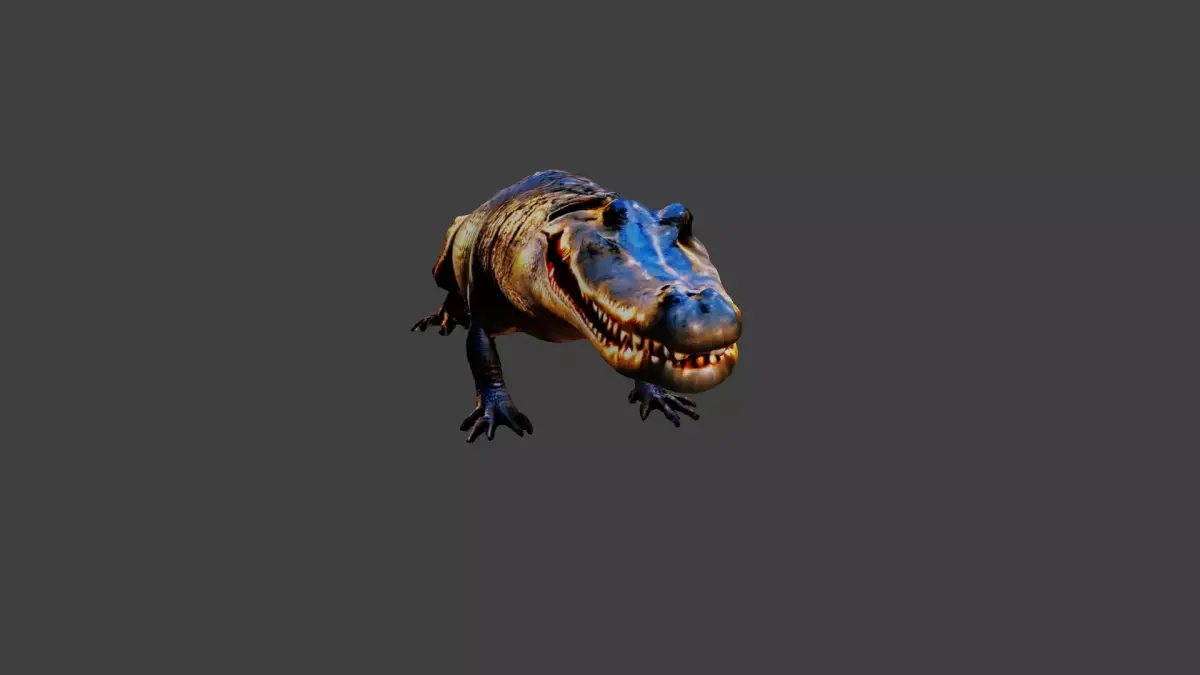 Crocodile Low-poly 3D model purchase