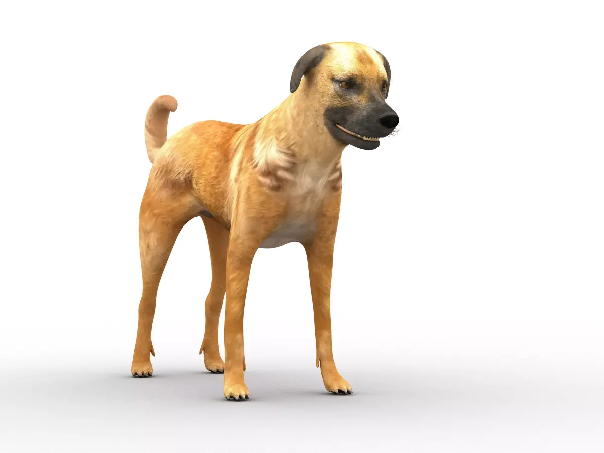 Nice dog Low-poly 3D model