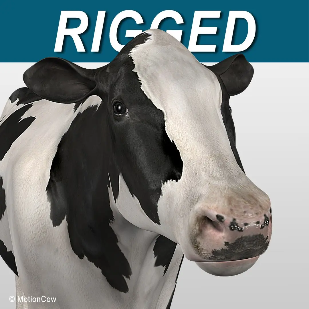 Cow Holstein  purchase 3D model