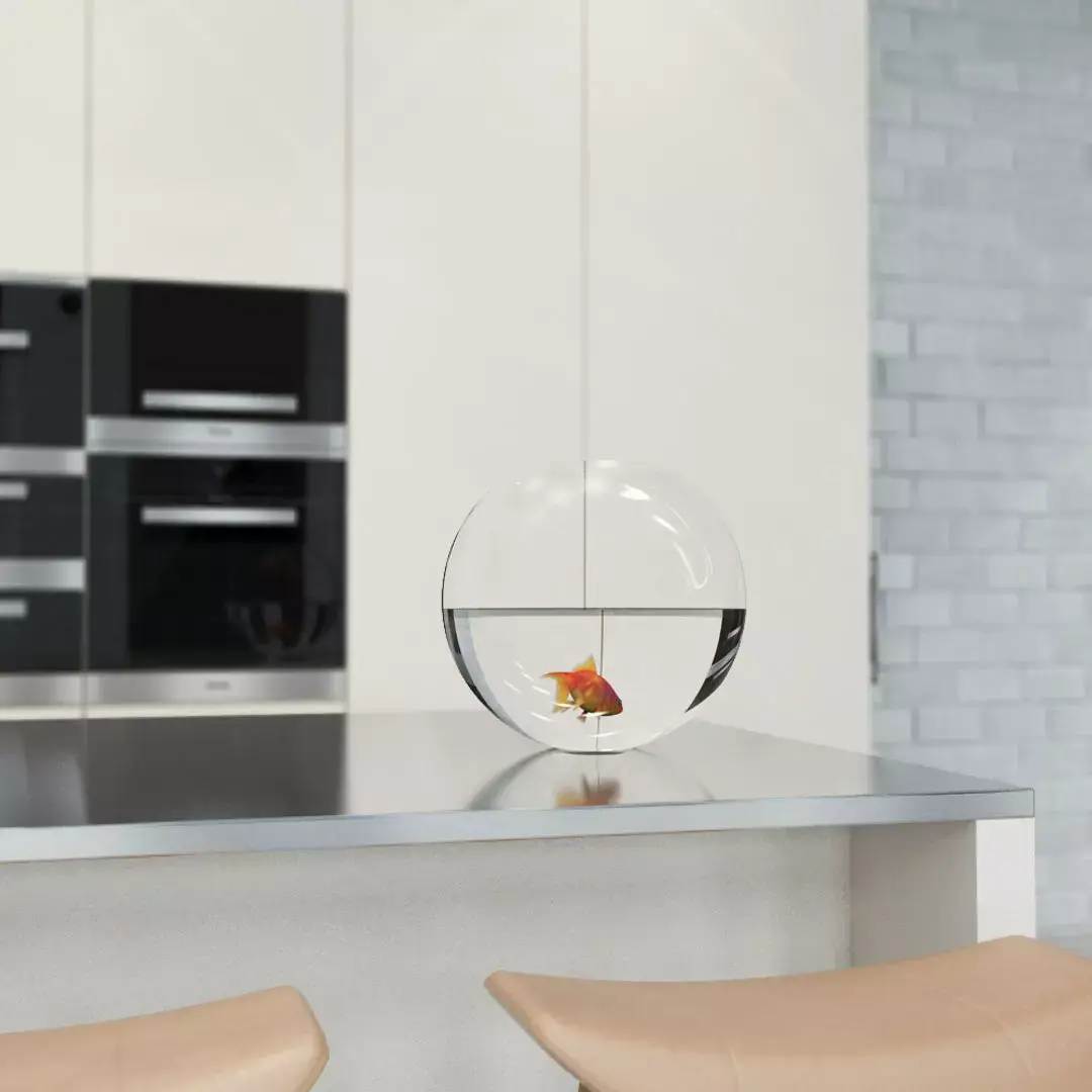 Goldfish in Bowl 3D model