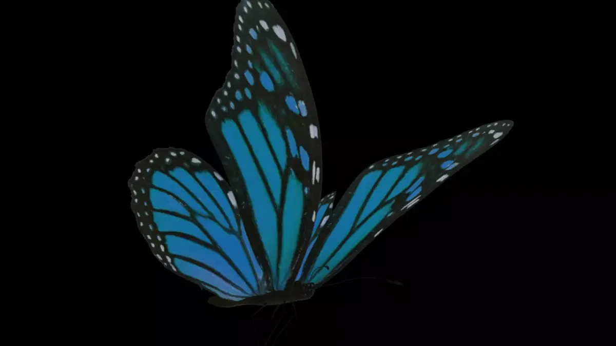 Butterfly flying Low-poly 3D model