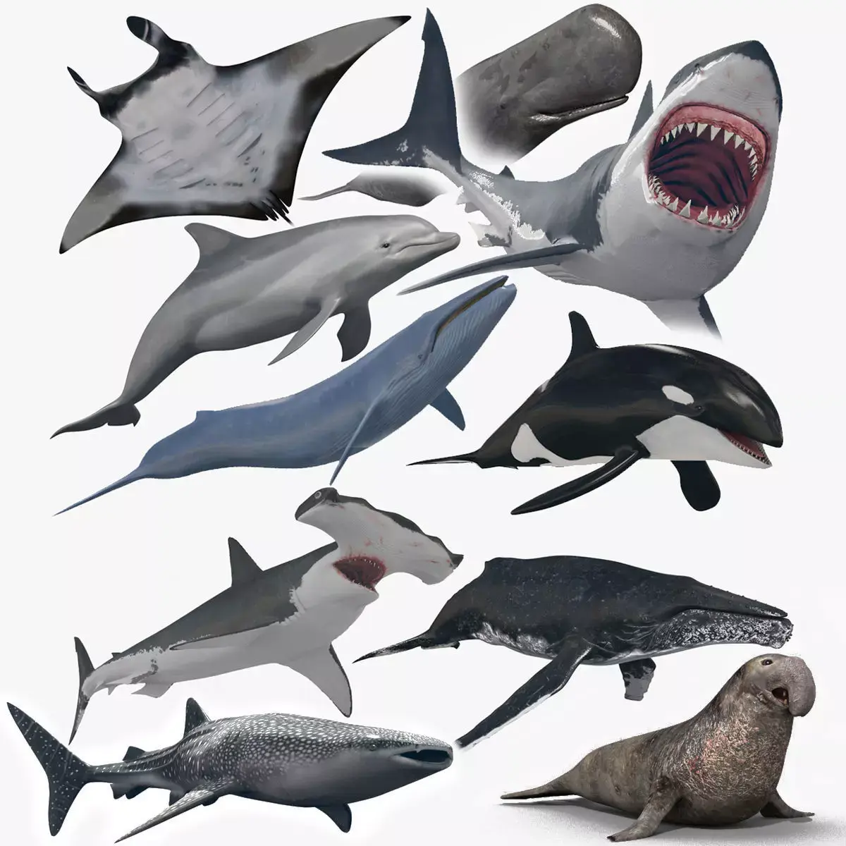 8K Marine Pack - fully animated 3D model