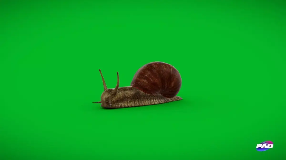 Garden Snail Low-poly 3D model purchase