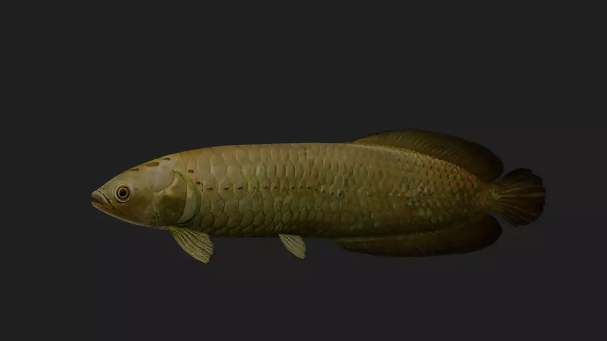 Bonytongue Low-poly 3D model