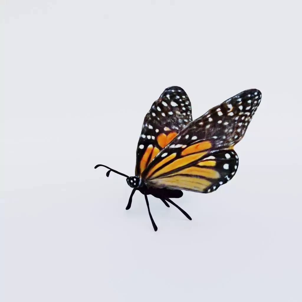 Butterfly Free 3D model