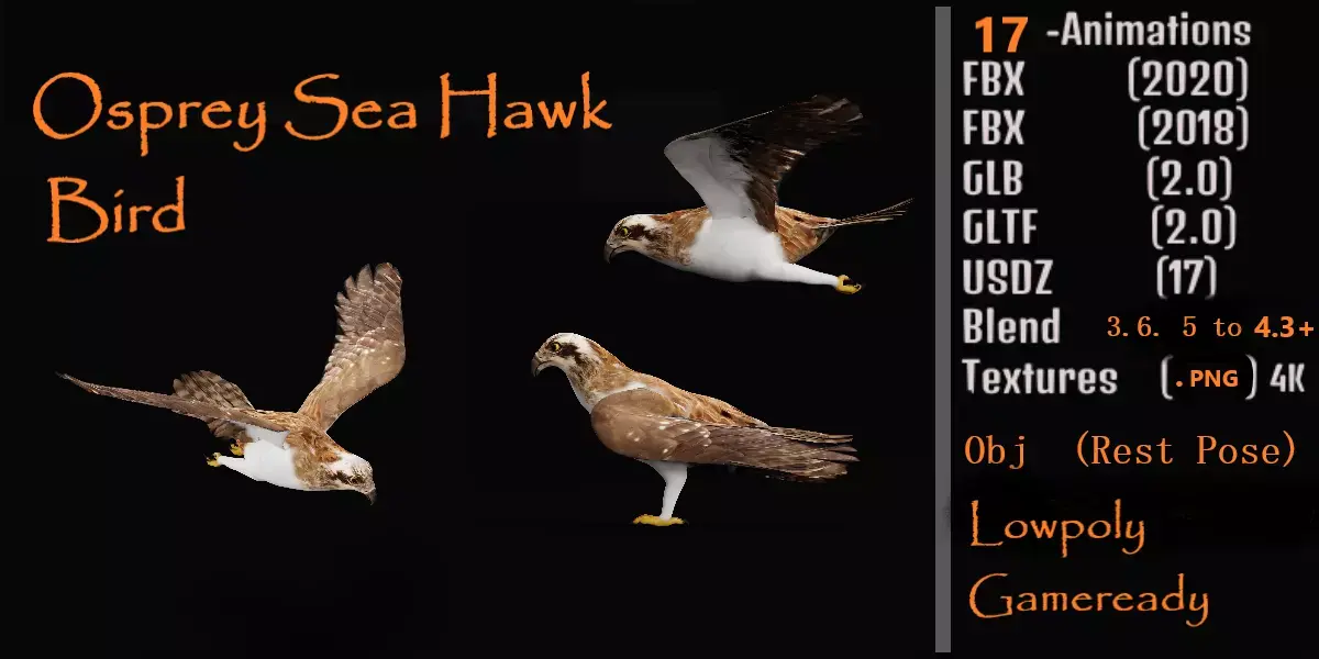 Osprey Sea Hawk Bird Low-poly 3D model