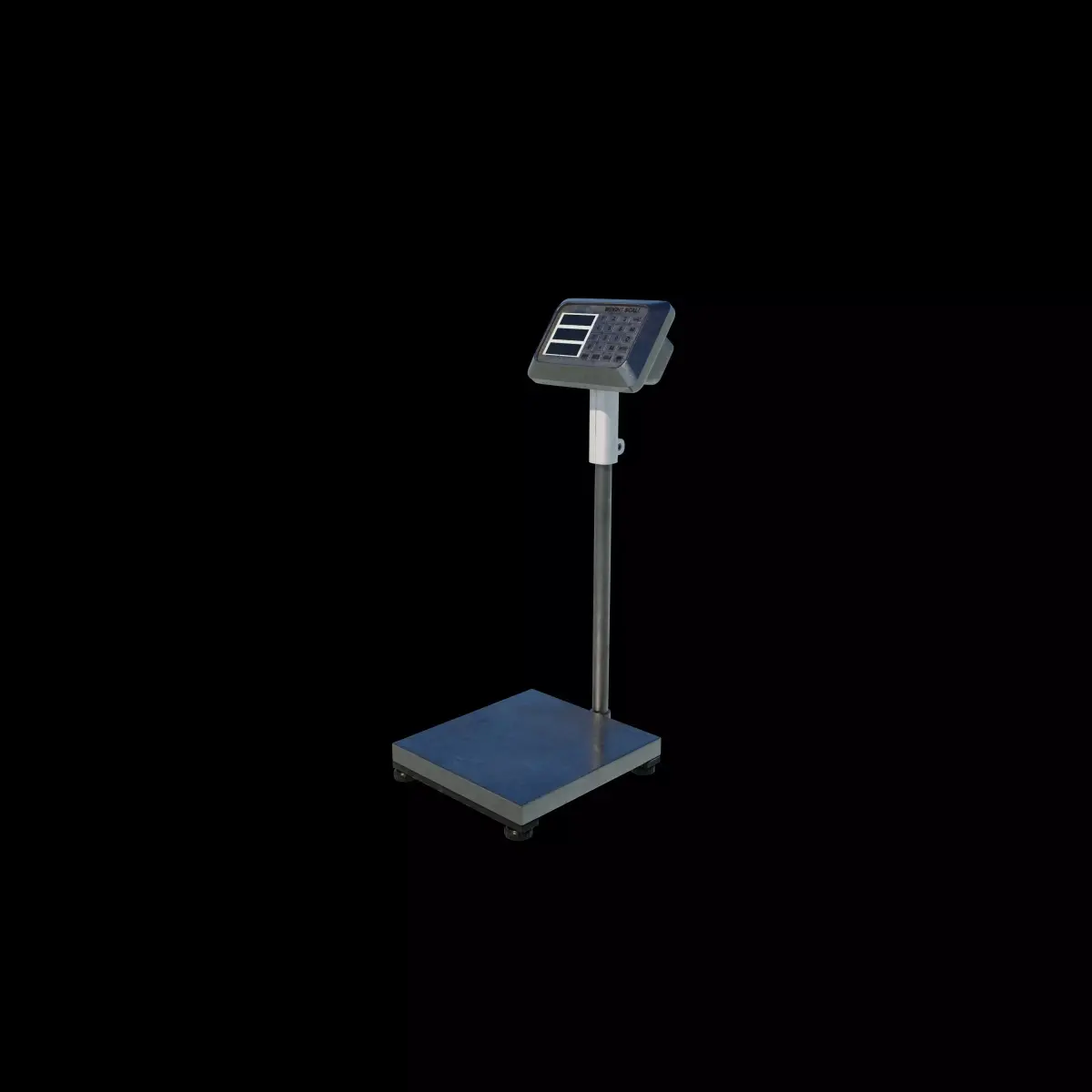 Digital Platform Scale 3D model