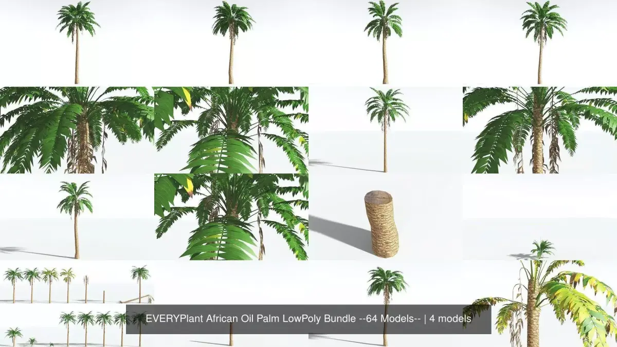 EVERYPlant African Oil Palm LowPoly Bundle --64 Models-- 3D Model Collection