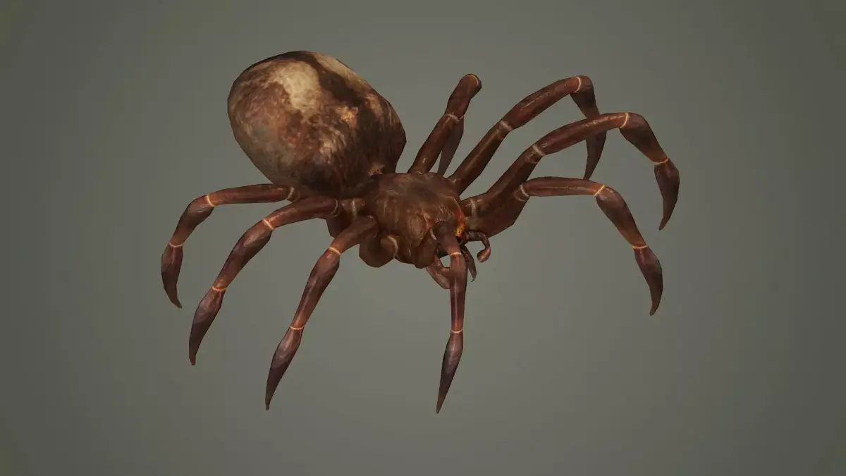 spider arachnid scary insect tarantula creepy animal  3D model