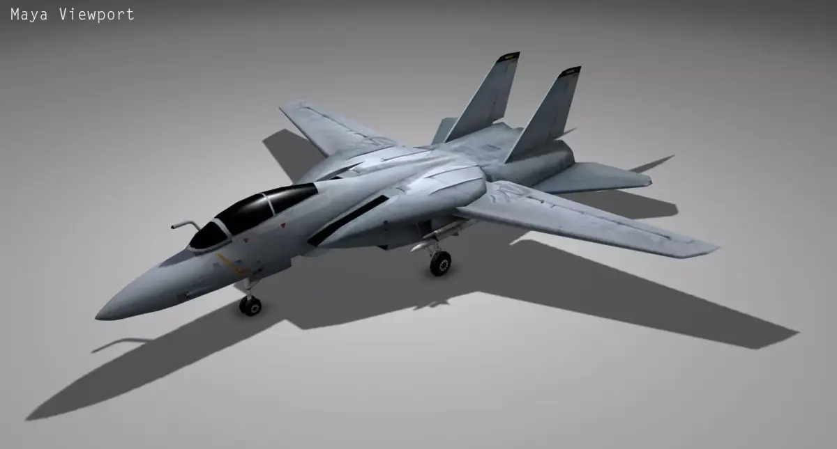 F14 TOMCAT Low-poly 3D model purchase
