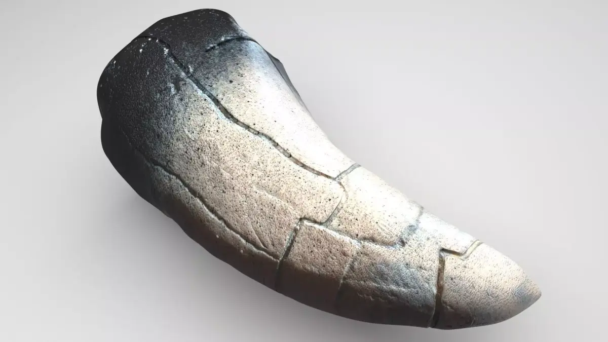 Dragon Tooth 3D model