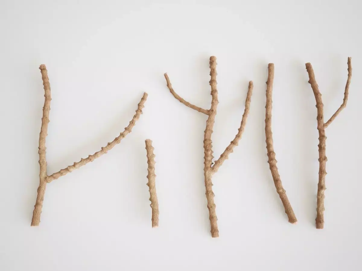 Small Branches 3D model