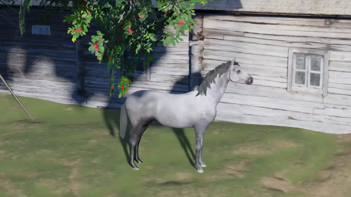 Realistic Gray Horse  Low-poly 3D model