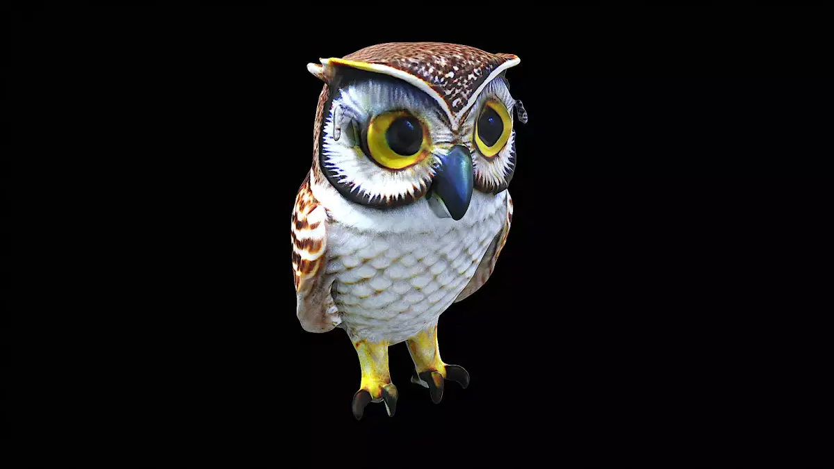 Awesome Owl 3D model