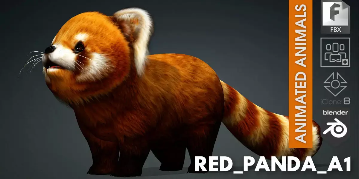 Red Panda A1 Free low-poly 3D model