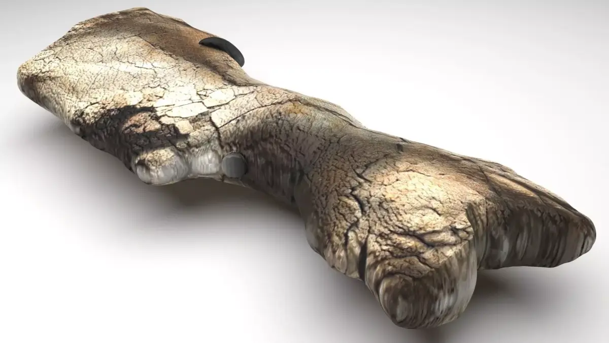 Triceratops Bone 3D model