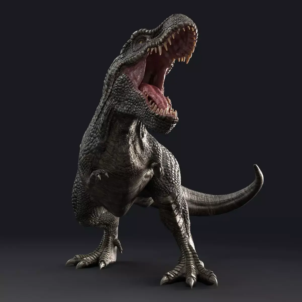 Dinosaur Zhuchengtyrannus Magnus- Ancestor of TRex  58 Anims Low-poly 3D model