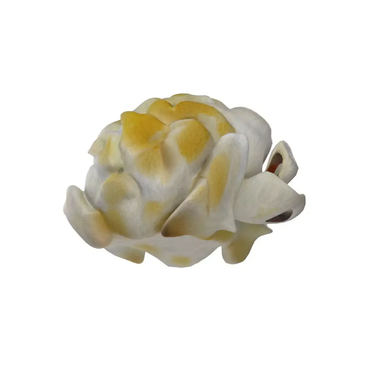 Popcorn 4  Low-poly 3D model