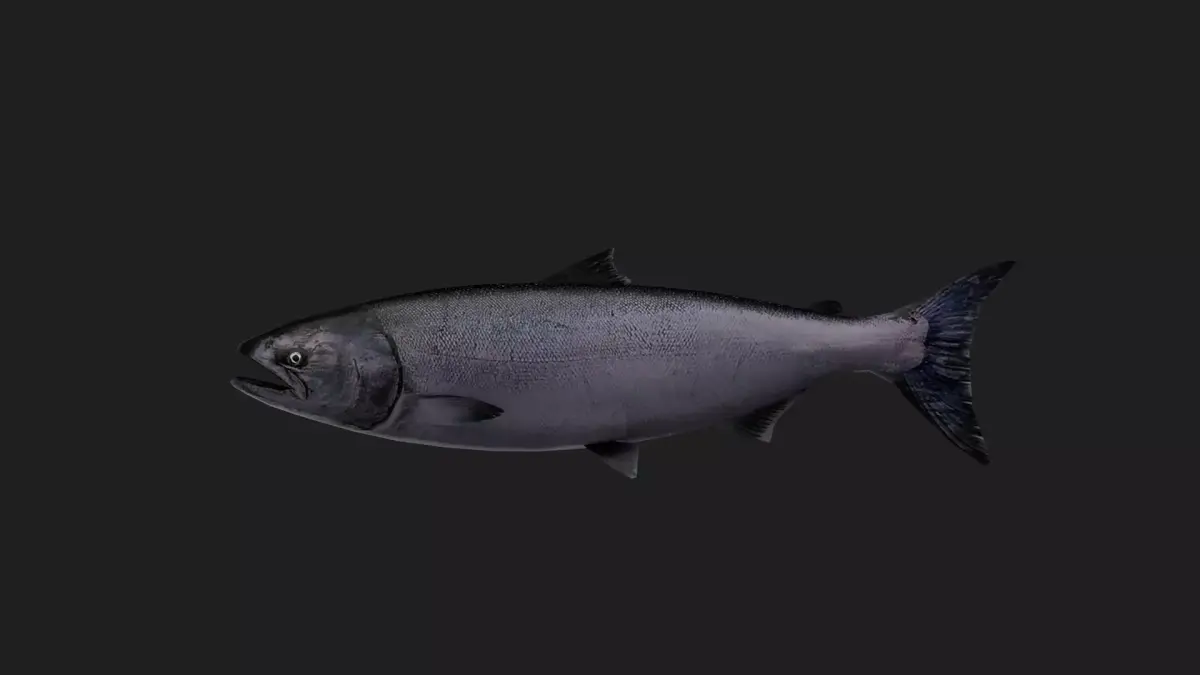 Trout Low-poly 3D model purchase