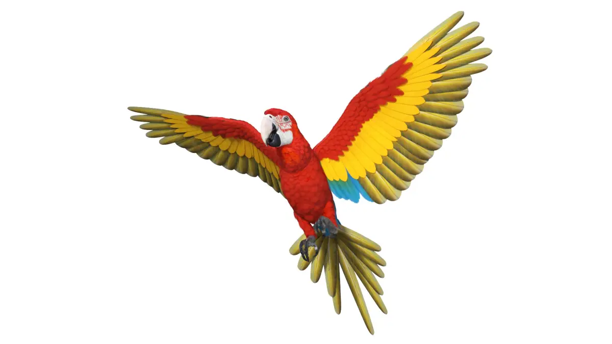 Red and Green Macaw Parrot Rigged 3D model